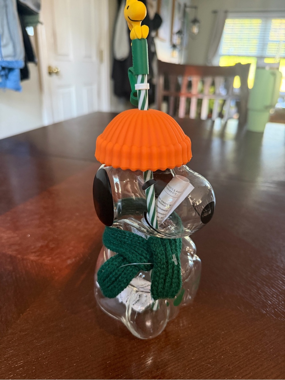 Starbucks snoopy Halloween cup